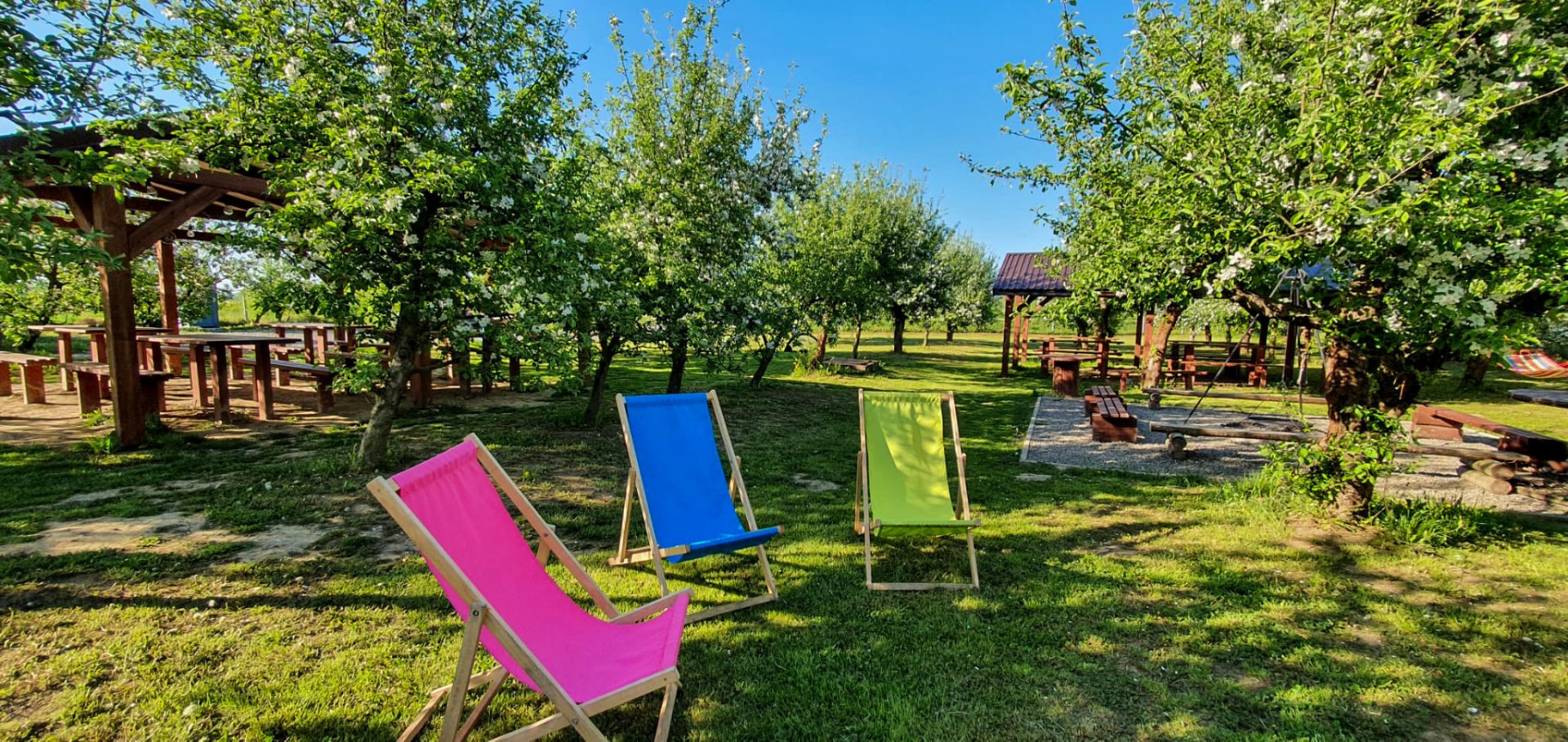 Leżaki w sadzie